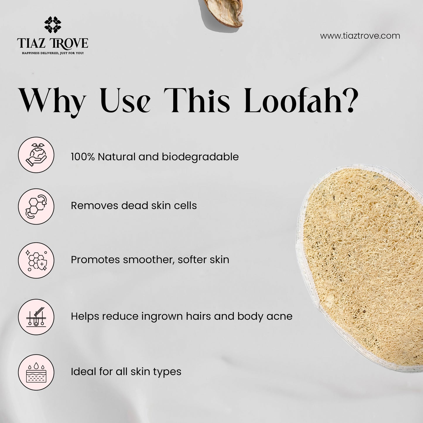 Natural Oval Shaped Loofah (Pack of 3) | Exfoliating Bath Sponge for Glowing Skin | TiazTrove
