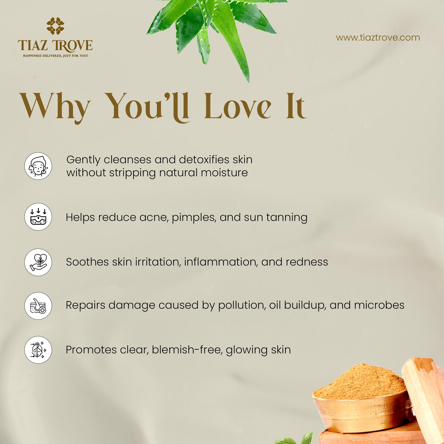 Sandal Turmeric Aloe Vera Face Wash | Anti-Tan, Glow & Acne Care | TiazTrove Skincare