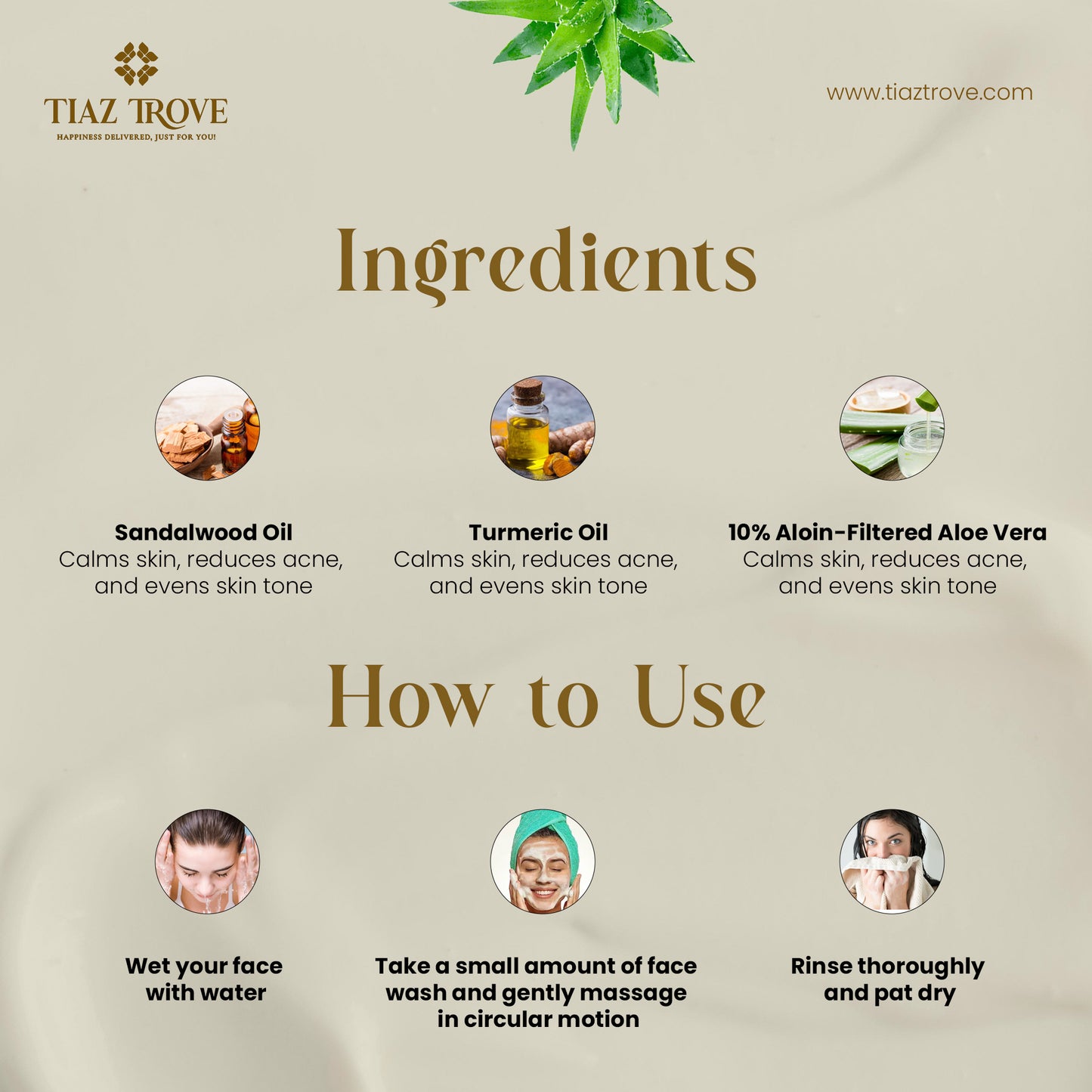 Sandal Turmeric Aloe Vera Face Wash | Anti-Tan, Glow & Acne Care | TiazTrove Skincare